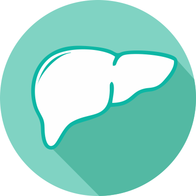 LIVER ZONE division icon